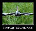 Нажмите на изображение для увеличения.

Название:	5.jpg
Просмотров:	1043
Размер:	33.5 Кб
ID:	3563114