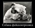 Нажмите на изображение для увеличения.

Название:	8.jpg
Просмотров:	1104
Размер:	97.1 Кб
ID:	3563306