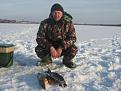 Нажмите на изображение для увеличения.

Название:	IMG_3857.jpg
Просмотров:	886
Размер:	86.7 Кб
ID:	3563421