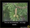 Нажмите на изображение для увеличения.

Название:	Image10006.jpg
Просмотров:	1019
Размер:	76.9 Кб
ID:	3563691