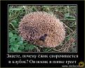 Нажмите на изображение для увеличения.

Название:	Image120003.jpg
Просмотров:	1027
Размер:	93.6 Кб
ID:	3563706