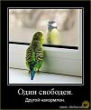 Нажмите на изображение для увеличения.

Название:	18.jpg
Просмотров:	986
Размер:	49.2 Кб
ID:	3563728