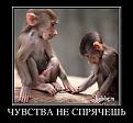 Нажмите на изображение для увеличения.

Название:	5.jpg
Просмотров:	1253
Размер:	37.1 Кб
ID:	3563736