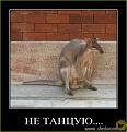 Нажмите на изображение для увеличения.

Название:	Image00005.jpg
Просмотров:	1190
Размер:	47.5 Кб
ID:	3563764