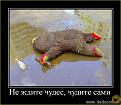 Нажмите на изображение для увеличения.

Название:	Image00014.jpg
Просмотров:	1256
Размер:	64.2 Кб
ID:	3563769