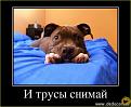 Нажмите на изображение для увеличения.

Название:	Image00019.jpg
Просмотров:	1134
Размер:	49.8 Кб
ID:	3563783