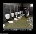 Нажмите на изображение для увеличения.

Название:	716013_dostali-mimo-unitaza-ssat.jpg
Просмотров:	1190
Размер:	41.9 Кб
ID:	3563903