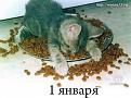 Нажмите на изображение для увеличения.

Название:	17.jpg
Просмотров:	1061
Размер:	88.4 Кб
ID:	3564068