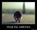Нажмите на изображение для увеличения.

Название:	3.jpg
Просмотров:	1114
Размер:	53.1 Кб
ID:	3564115