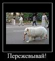 Нажмите на изображение для увеличения.

Название:	20.jpg
Просмотров:	1092
Размер:	33.9 Кб
ID:	3564132