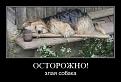Нажмите на изображение для увеличения.

Название:	%20_2_~1.JPG
Просмотров:	1246
Размер:	42.9 Кб
ID:	3564144