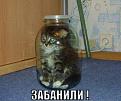 Нажмите на изображение для увеличения.

Название:	1.jpg
Просмотров:	1234
Размер:	20.2 Кб
ID:	3564146