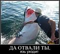 Нажмите на изображение для увеличения.

Название:	16.jpg
Просмотров:	1070
Размер:	42.5 Кб
ID:	3568377