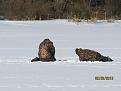 Нажмите на изображение для увеличения.

Название:	IMG_2233.jpg
Просмотров:	352
Размер:	91.5 Кб
ID:	3569025