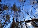 Нажмите на изображение для увеличения.

Название:	IMG_0011_1.jpg
Просмотров:	444
Размер:	132.3 Кб
ID:	3569097