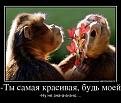 Нажмите на изображение для увеличения.

Название:	2.jpg
Просмотров:	1841
Размер:	51.4 Кб
ID:	3569251