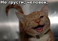 Нажмите на изображение для увеличения.

Название:	f_7f92a6e898e0313c7c1e1d0ddcb3857d317a7079.jpg
Просмотров:	309
Размер:	30.2 Кб
ID:	3569333