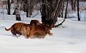 Нажмите на изображение для увеличения.

Название:	DSC00591.jpg
Просмотров:	408
Размер:	138.0 Кб
ID:	3569512