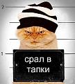 Нажмите на изображение для увеличения.

Название:	3.jpg
Просмотров:	1863
Размер:	27.0 Кб
ID:	3569716