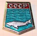 Нажмите на изображение для увеличения.

Название:	565_club-fish1 (3).jpg
Просмотров:	716
Размер:	58.8 Кб
ID:	3569979