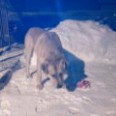 Нажмите на изображение для увеличения.

Название:	телефон 040.jpg
Просмотров:	317
Размер:	4.9 Кб
ID:	3570275