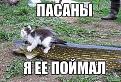 Нажмите на изображение для увеличения.

Название:	GEF540~1.JPG
Просмотров:	1182
Размер:	97.2 Кб
ID:	3570683