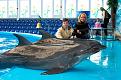 Нажмите на изображение для увеличения.

Название:	DSC08170.jpg
Просмотров:	370
Размер:	108.8 Кб
ID:	3570711