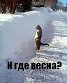 Нажмите на изображение для увеличения.

Название:	7.jpg
Просмотров:	430
Размер:	37.6 Кб
ID:	3570717