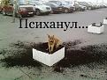 Нажмите на изображение для увеличения.

Название:	jk59TsSYWE4.jpg
Просмотров:	1372
Размер:	86.8 Кб
ID:	3570916