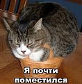 Нажмите на изображение для увеличения.

Название:	NQPQWcfX2YU.jpg
Просмотров:	1323
Размер:	51.1 Кб
ID:	3570918