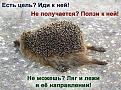 Нажмите на изображение для увеличения.

Название:	12.jpg
Просмотров:	554
Размер:	68.2 Кб
ID:	3571582