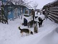 Нажмите на изображение для увеличения.

Название:	IMG_0050.jpg
Просмотров:	384
Размер:	190.9 Кб
ID:	3572004