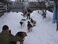 Нажмите на изображение для увеличения.

Название:	IMG_0052.jpg
Просмотров:	380
Размер:	188.3 Кб
ID:	3572005