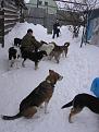Нажмите на изображение для увеличения.

Название:	IMG_0054.jpg
Просмотров:	338
Размер:	187.1 Кб
ID:	3572006