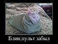 Нажмите на изображение для увеличения.

Название:	35727045_blinpult-zabyil.jpg
Просмотров:	1317
Размер:	74.7 Кб
ID:	3572051