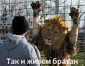Нажмите на изображение для увеличения.

Название:	onZEOoYyEPw.jpg
Просмотров:	1288
Размер:	49.3 Кб
ID:	3572056