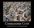 Нажмите на изображение для увеличения.

Название:	50100648_sotsialnyie-seti.jpg
Просмотров:	1221
Размер:	98.3 Кб
ID:	3572098