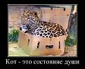 Нажмите на изображение для увеличения.

Название:	53646754_kot-eto-sostoyanie-dushi.jpg
Просмотров:	1208
Размер:	93.0 Кб
ID:	3572099