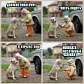 Нажмите на изображение для увеличения.

Название:	1364286477_komiksy-9.jpg
Просмотров:	1488
Размер:	55.4 Кб
ID:	3572409