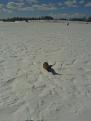 Нажмите на изображение для увеличения.

Название:	20130327_131942.jpg
Просмотров:	358
Размер:	94.8 Кб
ID:	3572436