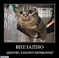 Нажмите на изображение для увеличения.

Название:	1329.jpg
Просмотров:	306
Размер:	51.3 Кб
ID:	3576576