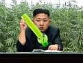 Нажмите на изображение для увеличения.

Название:	fotozhaba-0019.jpg
Просмотров:	613
Размер:	77.7 Кб
ID:	3576771