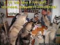 Нажмите на изображение для увеличения.

Название:	лодлод.jpg
Просмотров:	271
Размер:	79.2 Кб
ID:	3576789