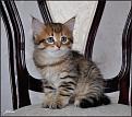 Нажмите на изображение для увеличения.

Название:	DSC_0233.jpg
Просмотров:	297
Размер:	140.0 Кб
ID:	3576818