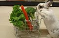Нажмите на изображение для увеличения.

Название:	1362597159_funny_animals_20130306_02530_012.jpg
Просмотров:	417
Размер:	49.1 Кб
ID:	3576849