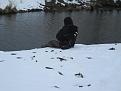 Нажмите на изображение для увеличения.

Название:	IMG_3364.jpg
Просмотров:	796
Размер:	183.3 Кб
ID:	3576965