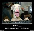 Нажмите на изображение для увеличения.

Название:	6ARyQ7v54cW.jpg
Просмотров:	1330
Размер:	51.2 Кб
ID:	3577618