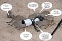 Нажмите на изображение для увеличения.

Название:	opossum.jpg
Просмотров:	340
Размер:	73.9 Кб
ID:	3577671