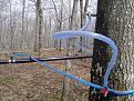 Нажмите на изображение для увеличения.

Название:	Maple_sap_dripping_from_the_taphole_in_sugarbush.jpg
Просмотров:	1658
Размер:	175.3 Кб
ID:	3578476
