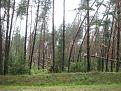 Нажмите на изображение для увеличения.

Название:	IMG_3362_новый размер.JPG
Просмотров:	1254
Размер:	120.0 Кб
ID:	3578701